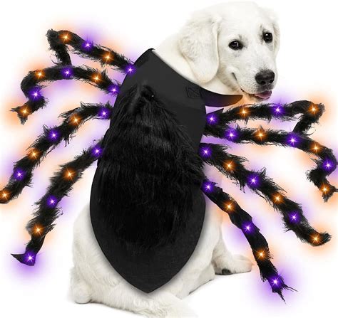 dog spider costume|More.